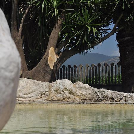 B&B Levante Paestum Mattine Exteriör bild